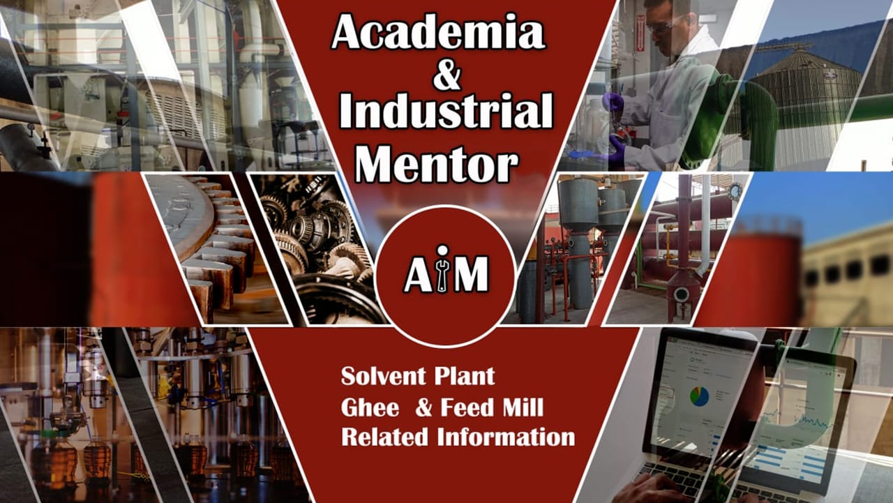 Academia and Industrial Mentor